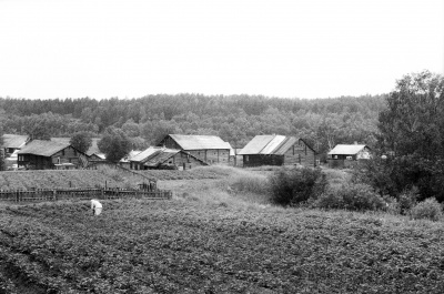 Фрагмент застройки, деревня Рубчойла