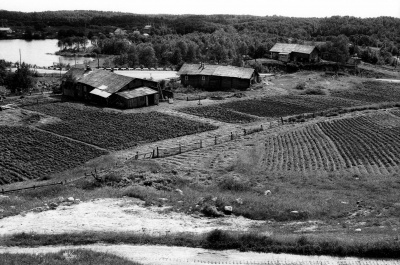 Фрагмент застройки, село Вешкелица