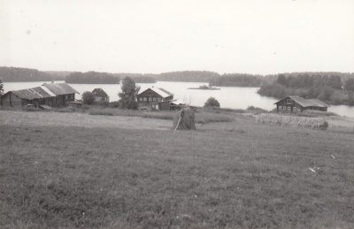 Панорама застройки, деревня Павшойла