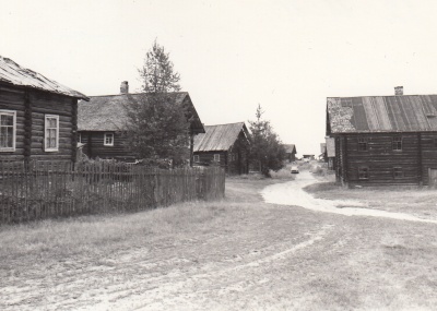 Улица, деревня Салменица
