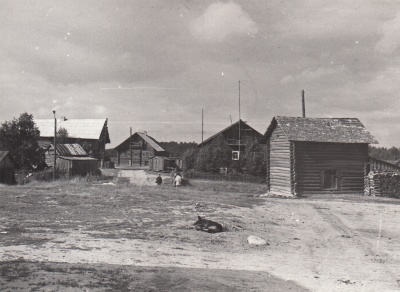 Фрагмент панорамы застройки, деревня Рубчойла