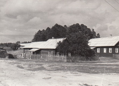 Фрагмент панорамы застройки, деревня Рубчойла