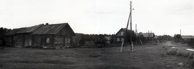 Фрагмент панорамы, деревня Салменица